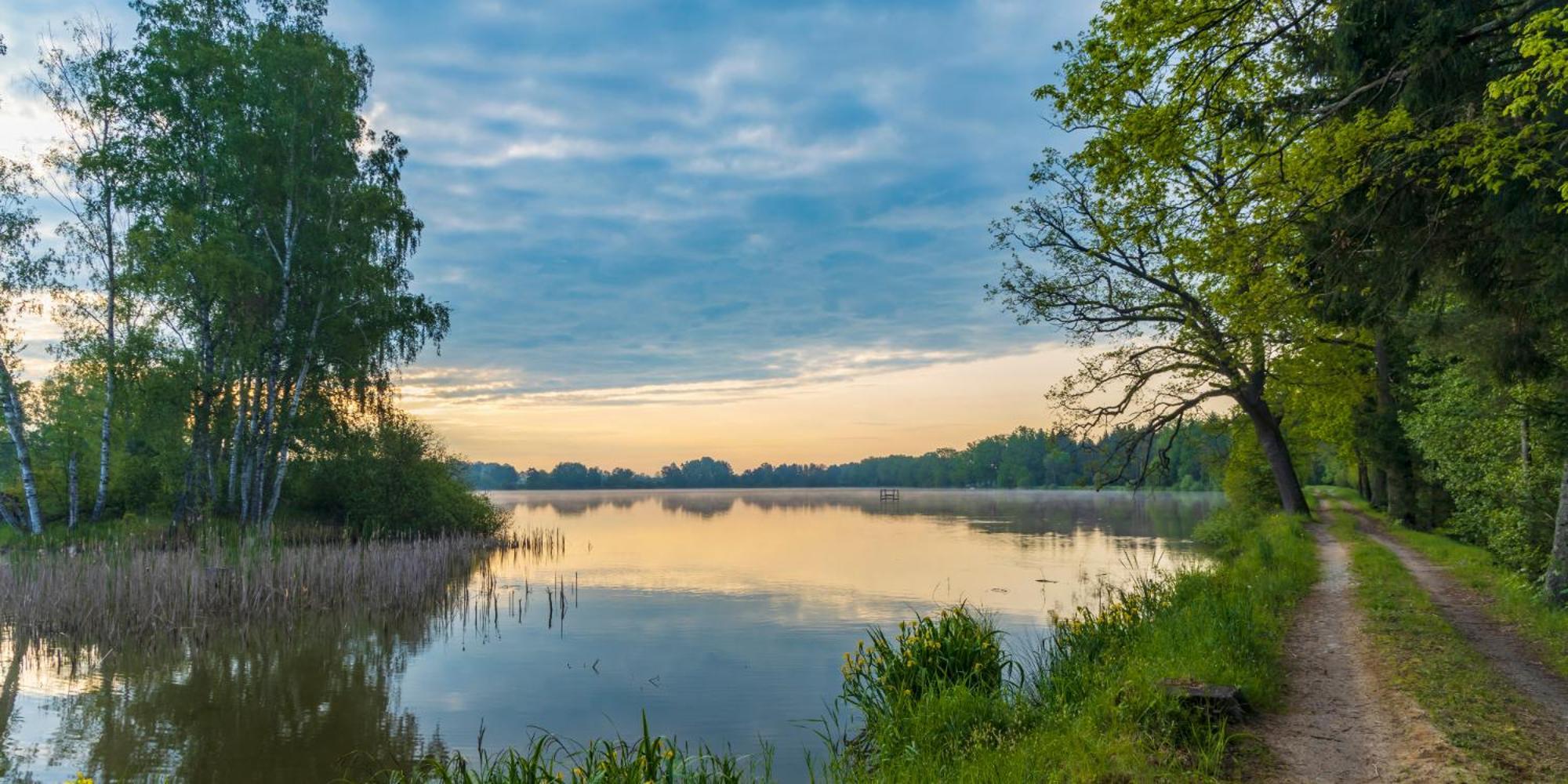 Penzion U Sykoru Třeboň Exteriör bild