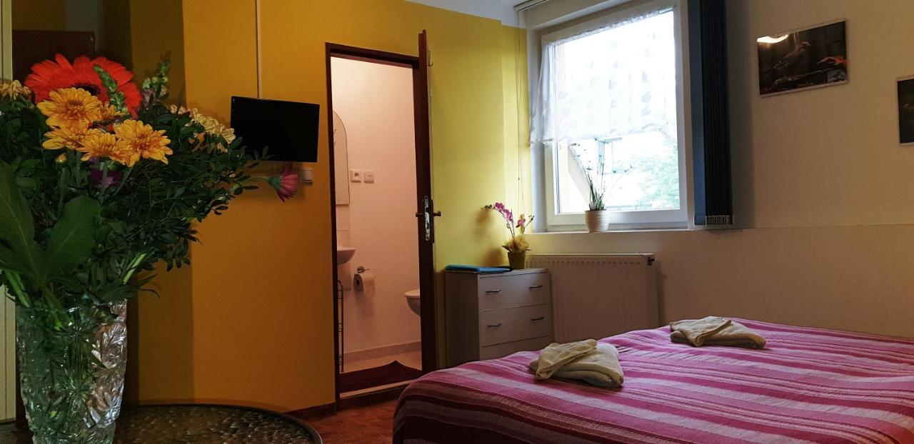 Penzion U Sykoru Třeboň Exteriör bild